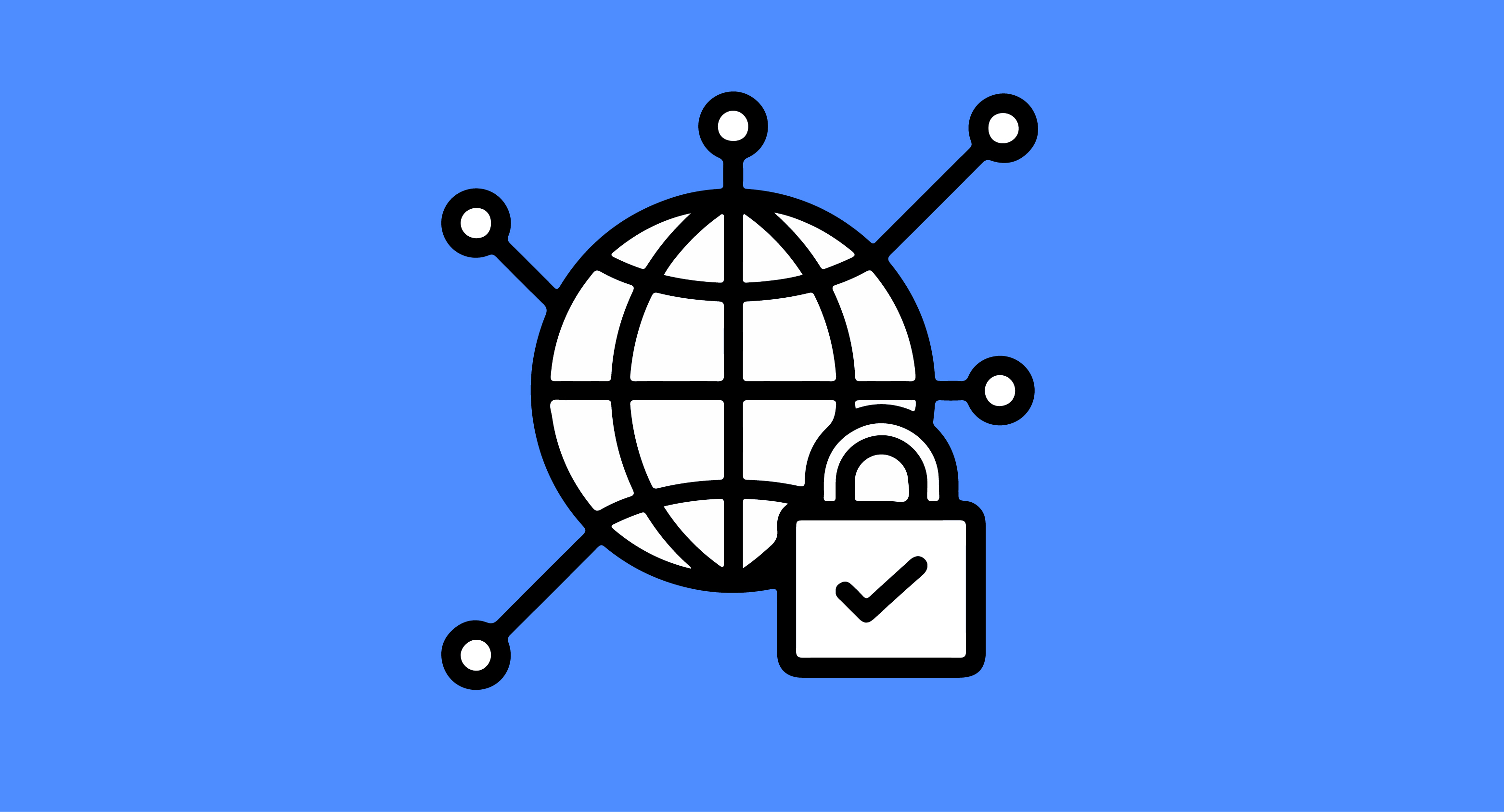 network security