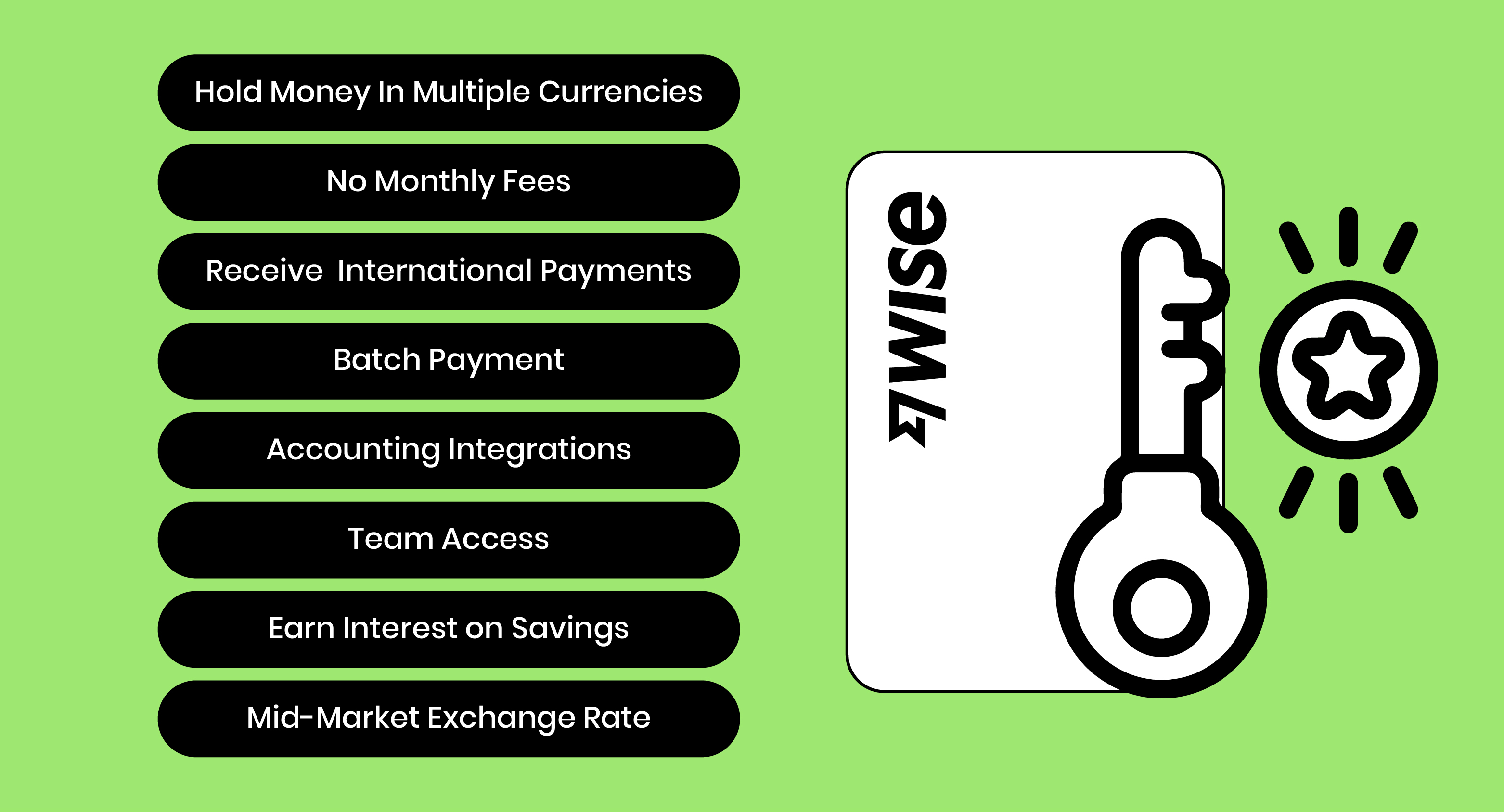 features of wise business account