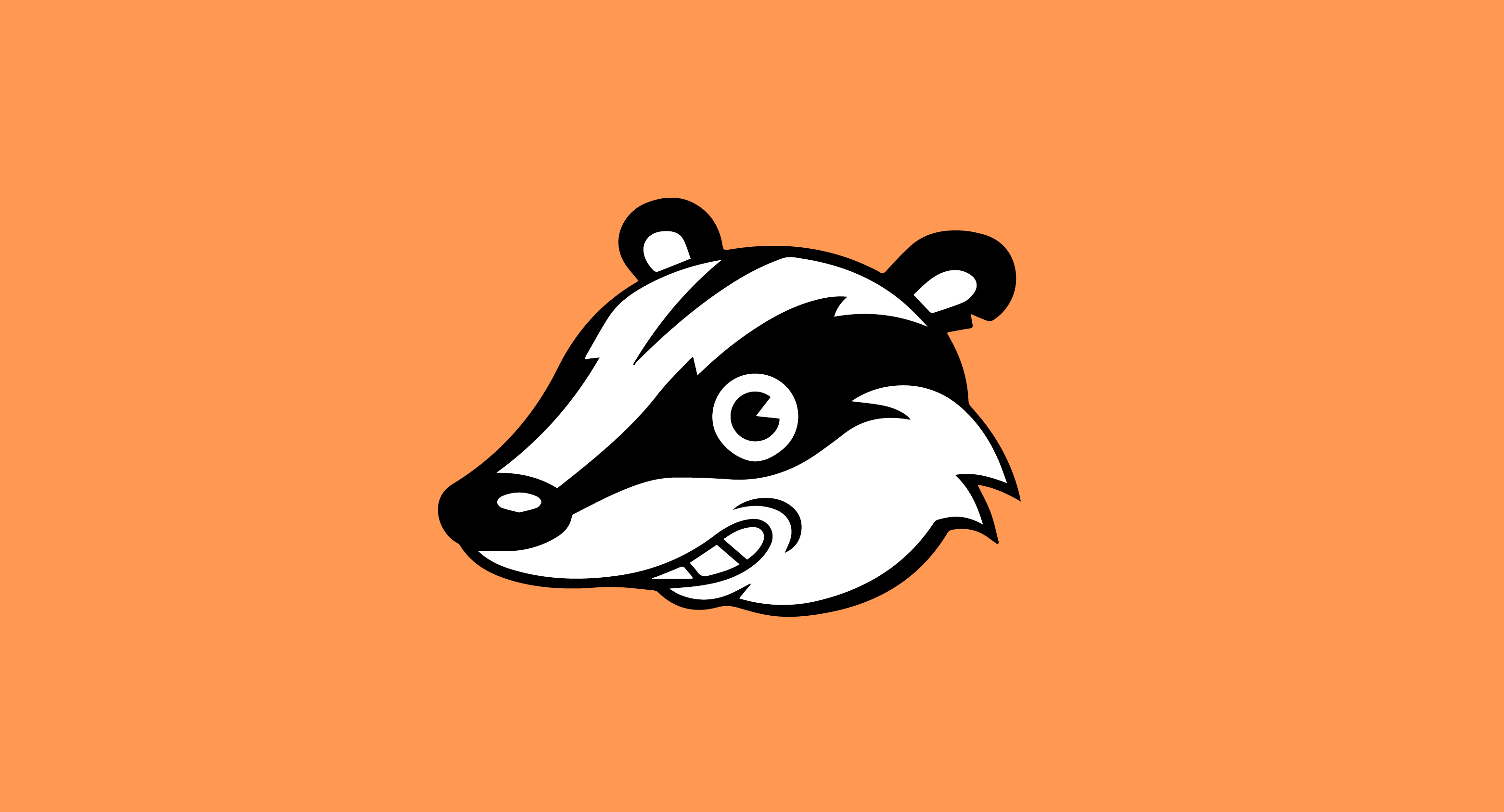 privacy badger