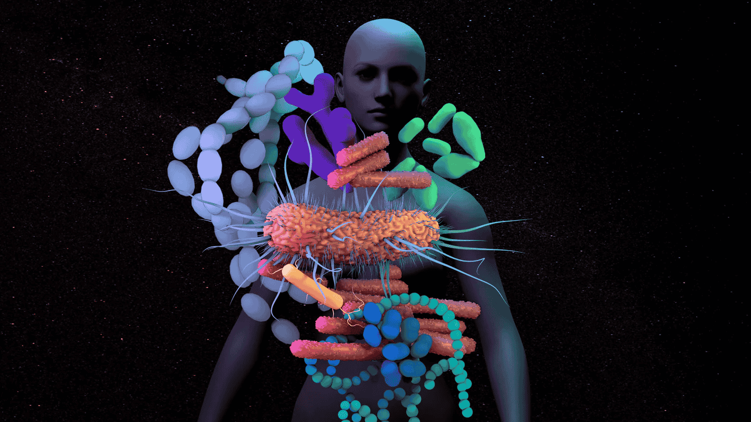 Comprehensive View on Immune Health