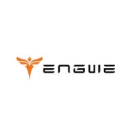 Engwe Bikes EU