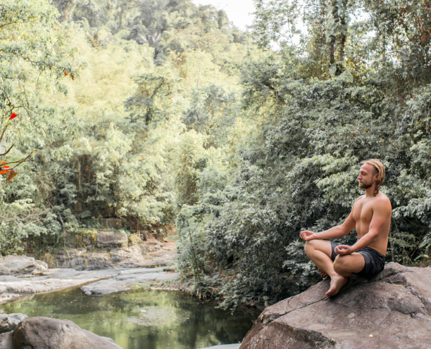 Discover the Power of Pure Wellness with Global Healing