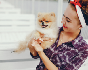 Best Pelsbarn Dog Care Products Guide
